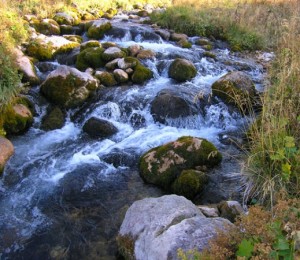 река Аминовка