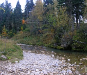 река Мешоко