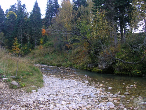 река Мешоко